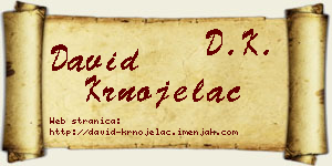 David Krnojelac vizit kartica